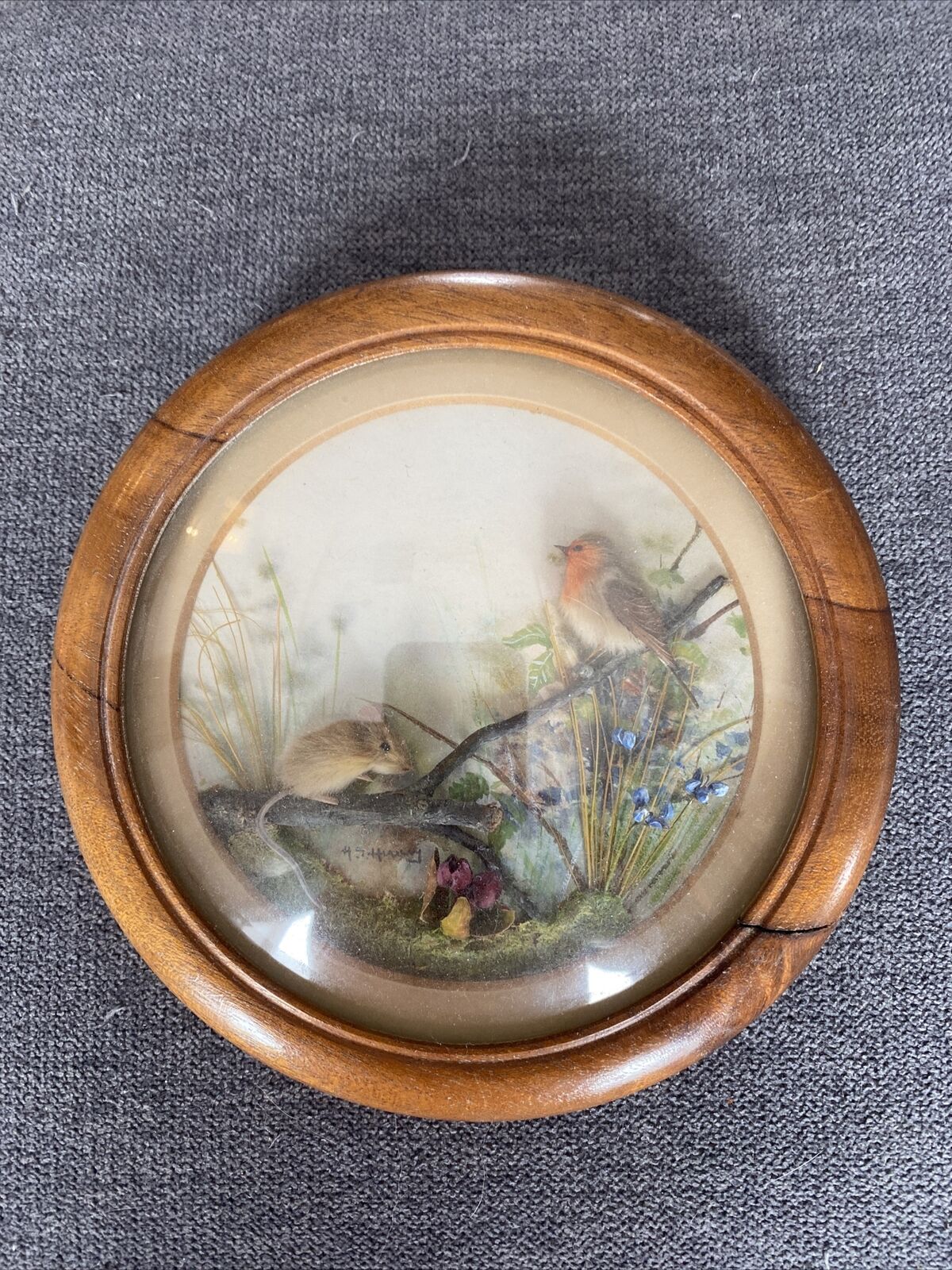 Robin and Young Woodmouse (5-inch)